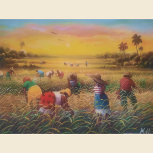 Havest Rice 16x20 " by Simeon Michel, unframed